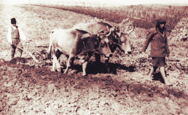 Caminul Cultural si mica proprietata agricola (1939)