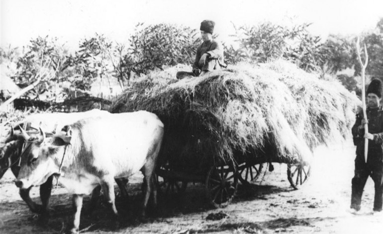Excedentul populatiei agricole si perspectivele gospodariei taranesti (1937)